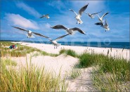 3D-Postkarte Strand 