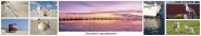 Panoramapostkarte Nordsee Impressionen 