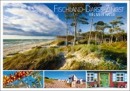 Postkarte Fischland-Darß-Zingst Viel Meer Natur 