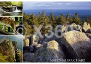Postkarte Nationalpark Harz 