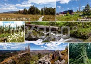 Postkarte Nationalpark Harz 