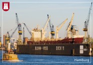 Postkarte Trockendock mit Containerschiff 
