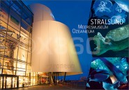 Postkarte Stralsund Ozeanum 