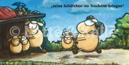 XL-Postkarte Lotte & Kalle Schäfchen ins Trockene bringen 