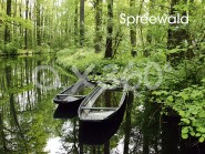 Metallmagnet Spreewald 