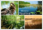 Postkarte Müritz Nationalpark 