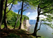 3D-Postkarte Blick aus dem Wald 