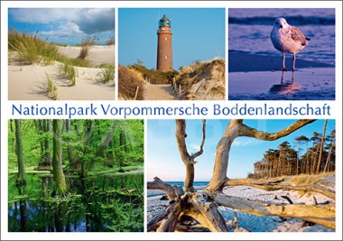 Postkarte Nationalpark Vorpommersche Boddenlandschaft 
