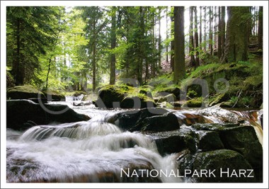 Postkarte Nationalpark Harz Fluss 