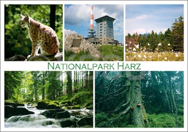 Postkarte Nationalpark Harz 5 Motive 