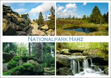 Postkarte Nationalpark Harz 4 Motive 