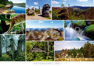 Postkarte Nationalpark Harz 