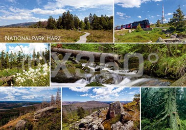 Postkarte Nationalpark Harz 