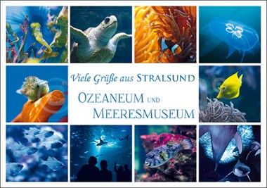 Postkarte Stralsund Ozeaneum und Meeresmuseum 