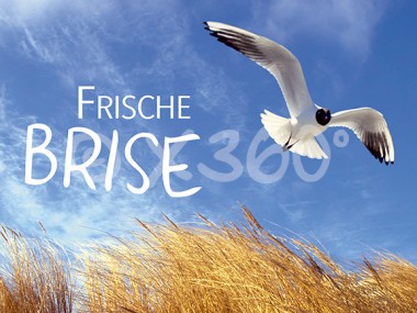 Metallmagnet Frische Brise 