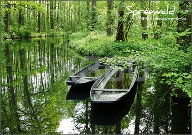 Postkarte Spreewald Kanal mit Kähnen 