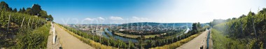 Panoramapostkarte Würzburg Fränkisches Weinland 