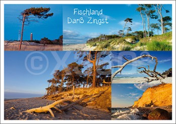 Postkarte Fischland Darß Zingst 
