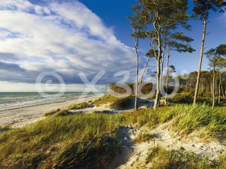 Metallmagnet Ostseestimmung 