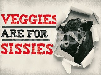 Metallmagnet Veggies 