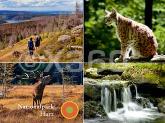 Metallmagnet Nationalpark Harz 