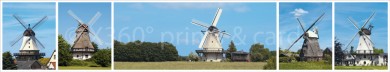 Panoramapostkarte SH-Windmühlen-östlich 