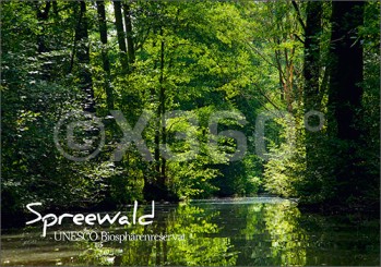 Postkarte Spreewald Kanal 