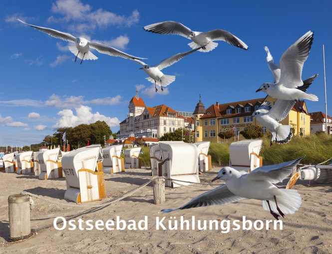 3D Magnet Ostseebad Kühlungsborn 