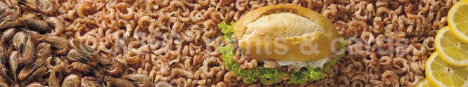 Panoramapostkarte Krabbenbrötchen 