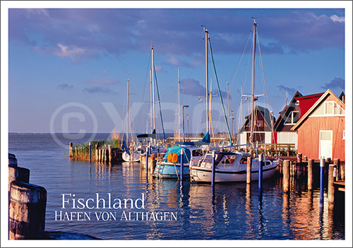 Postkarte Hafen von Althagen 