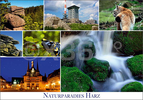 Postkarte Naturparadies Harz 
