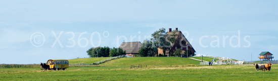 Lesezeichen Hallig Hooge 