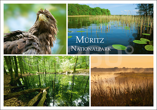 Postkarte Müritz Nationalpark 