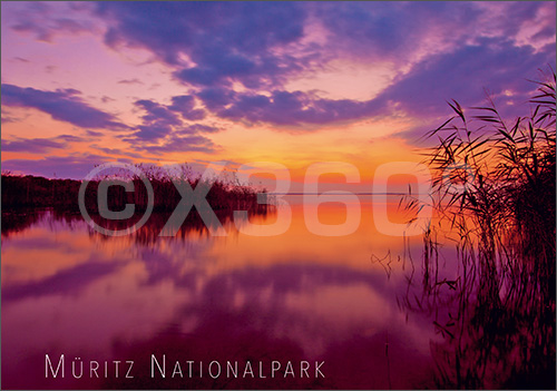 Postkarte Müritz Nationalpark 