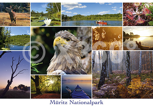 Postkarte Müriz Nationalpark 