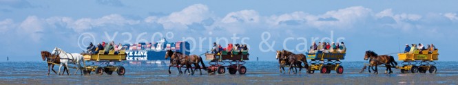 Panoramapostkarte Cuxhaven Wattwagen 