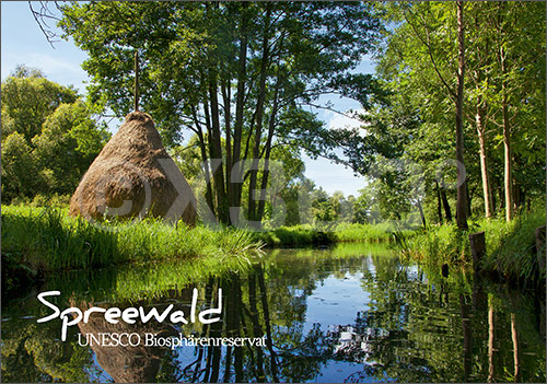 Postkarte Spreewald Kanal mit Heuschober 