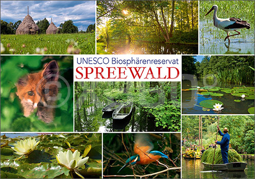 Postkarte Spreewald Mischkarte 