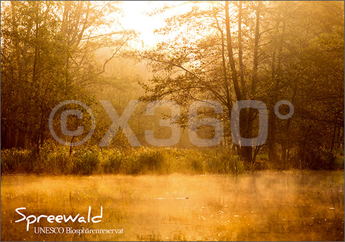 Postkarte Spreewald Morgennebel 